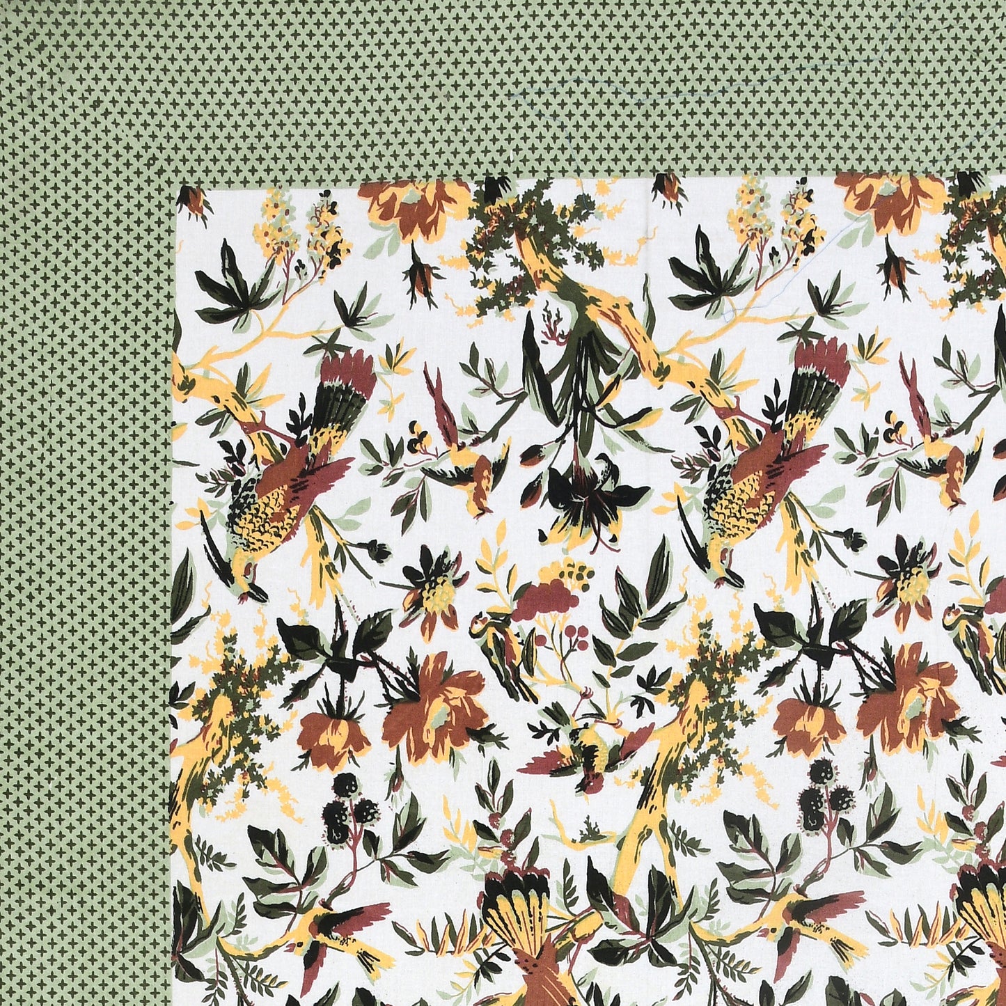Tropical Bird & Floral Cotton Bedsheet – Green Border